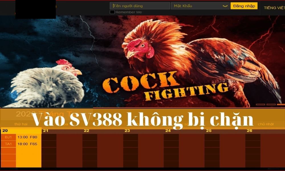 Những điểm cần lưu ý khi sử dụng sv388 link